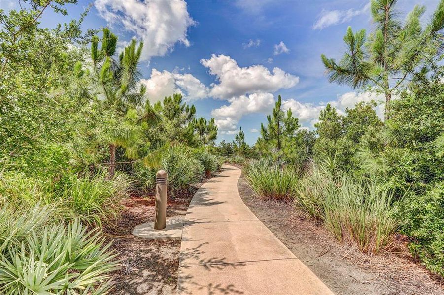 Natural landscape and outdoor views near in Sarasota (Image 76). Natural landscape and outdoor views near in Sarasota (Image 76).