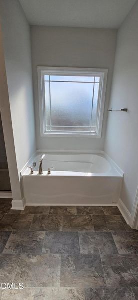 Pablo And Celina Angel