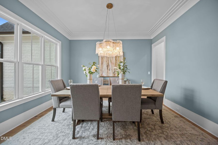 2-web-or-mls-IMG_8399