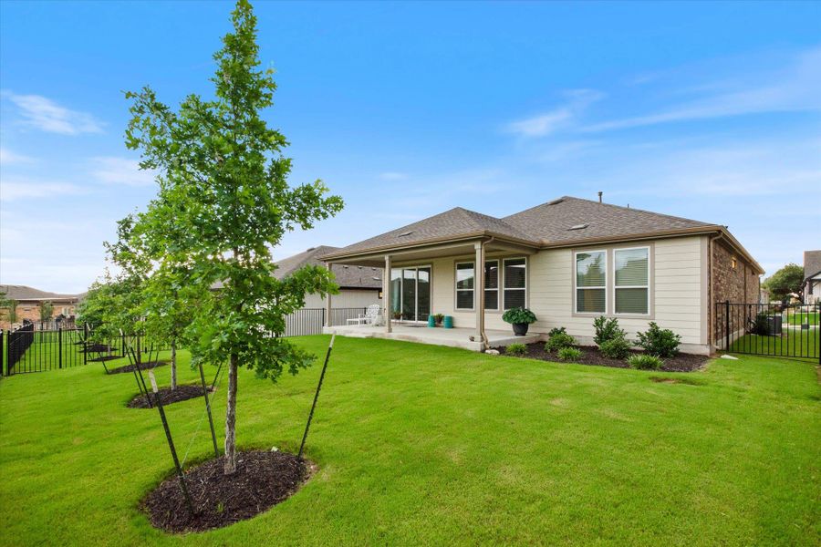 Upgraded Large trees in the backyard