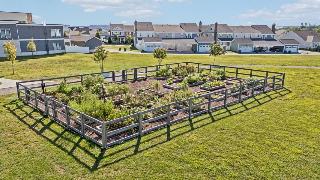Community amenities in Harvest Point, Spring Hill (Image 19).