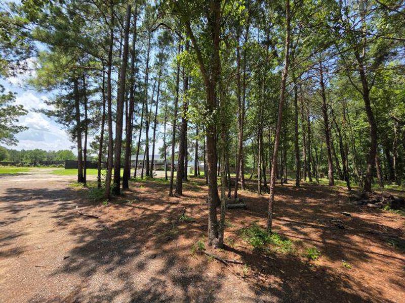 Natural landscape and outdoor views near  in Santee (Image 32).