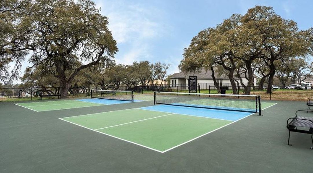 Community Photo Community Photo