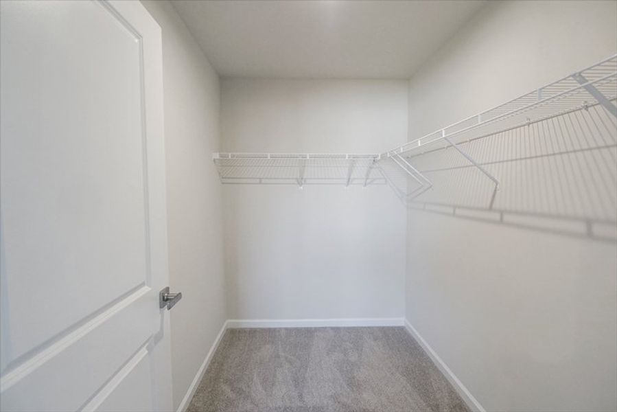 Spacious, unfurnished interior of a new home in Coopers Mill, Westminster (Image 27).