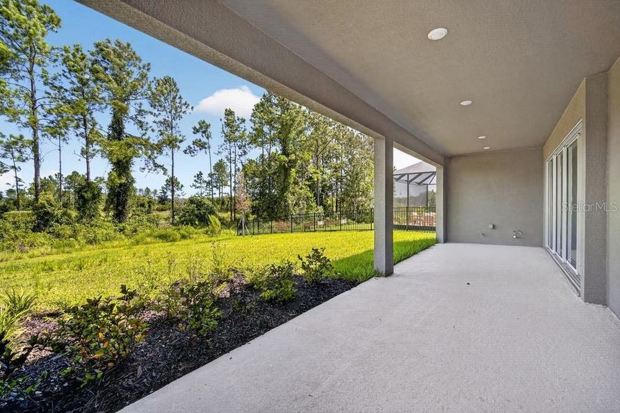 Exterior details and patio area of a home in Hammock at Two Rivers, Zephyrhills (Image 4).