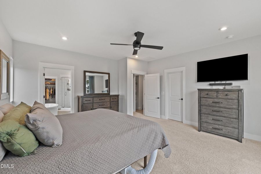 041-1167 Cottonsprings_9611