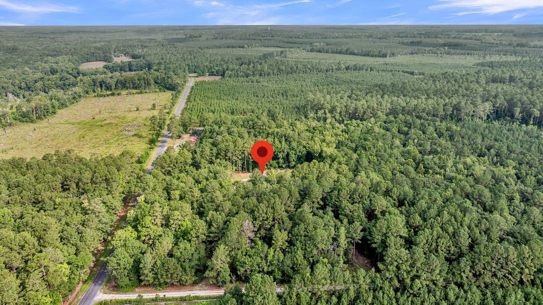Natural landscape and outdoor views near  in Smoaks (Image 30).