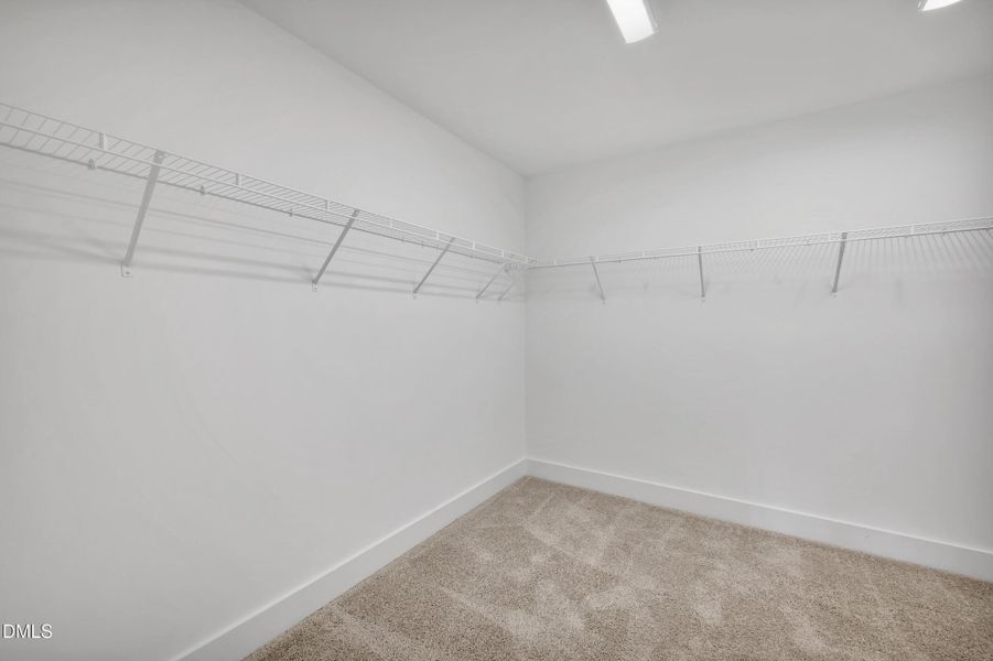 Primary Closet