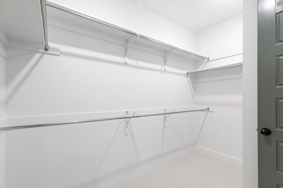 Representative Primary Closet - some options shown