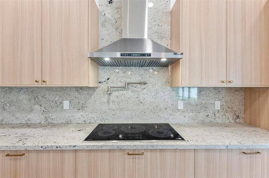 Cook Top, Exhaust Hood, and Pot Filler