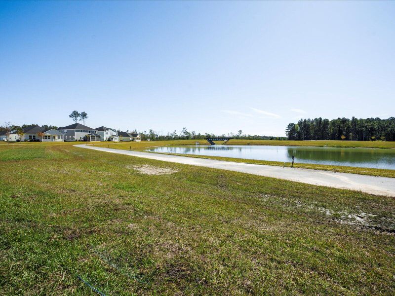 Natural landscape and outdoor views near The Coves at Lakes of Cane Bay II in Summerville (Image 42).