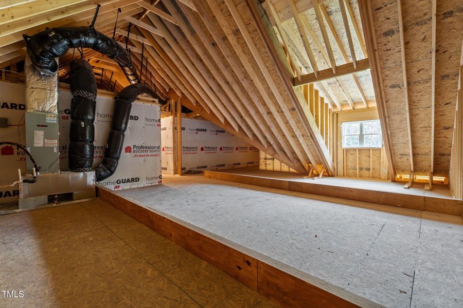 50-web-or-mls-DSC00334