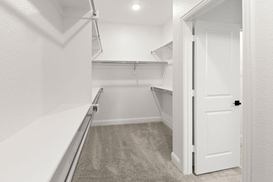 31. 2520 Royal Birkdale - Closet