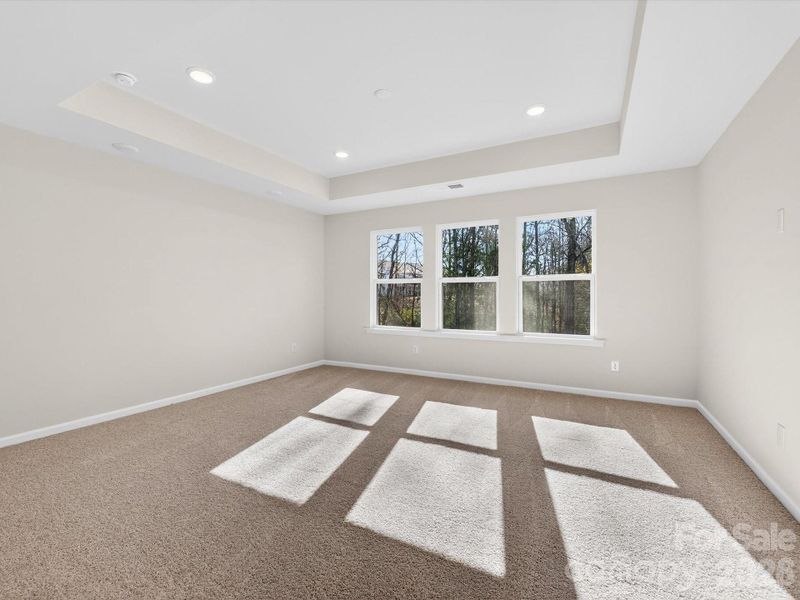 Light filled primary bedroom with tray ceiling and views to the wooded backyard