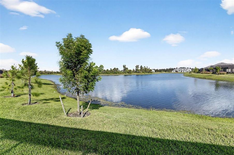 Natural landscape and outdoor views near  in Venice (Image 39).