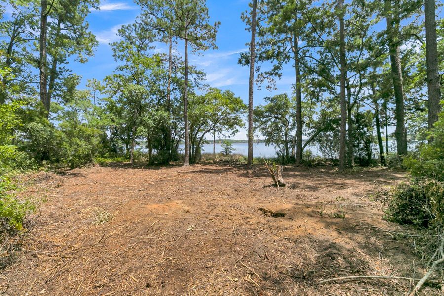 Natural landscape and outdoor views near  in Ravenel (Image 86).