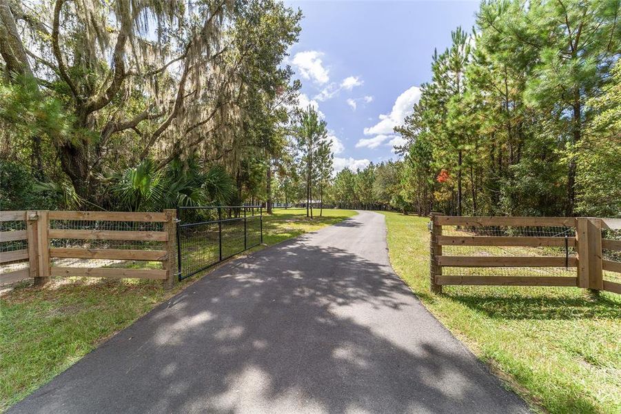 Natural landscape and outdoor views near  in Williston (Image 75).