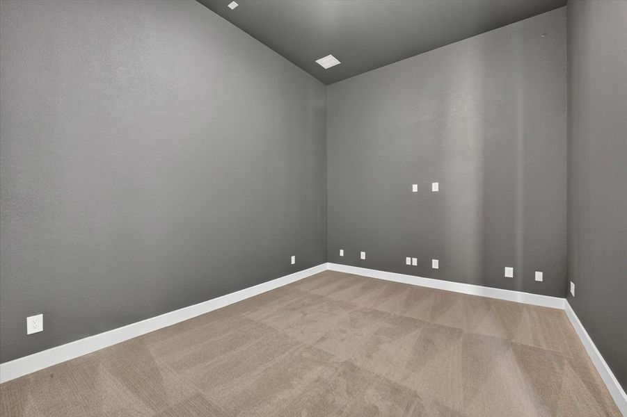 Entertainment Room