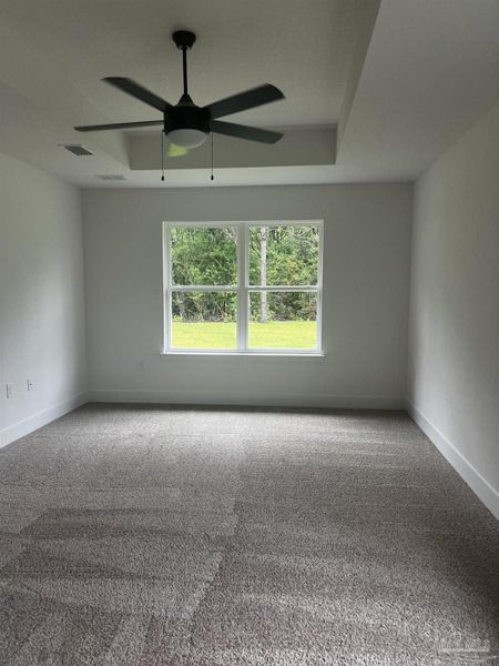 Spacious, unfurnished interior of a new home in Blossom Grove, Milton (Image 11).