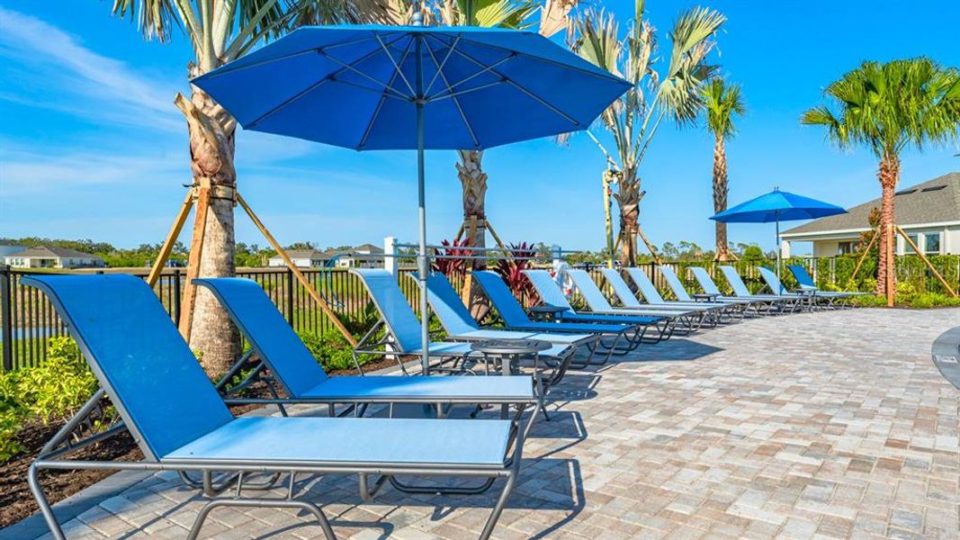 Community amenities in Indigo Creek, Apollo Beach (Image 53).