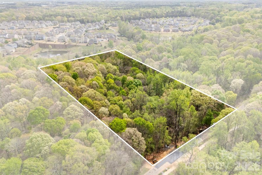 Natural landscape and outdoor views near  in Charlotte (Image 10).