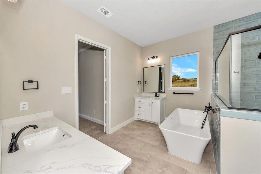 Bathroom with vanity and separate shower and tub