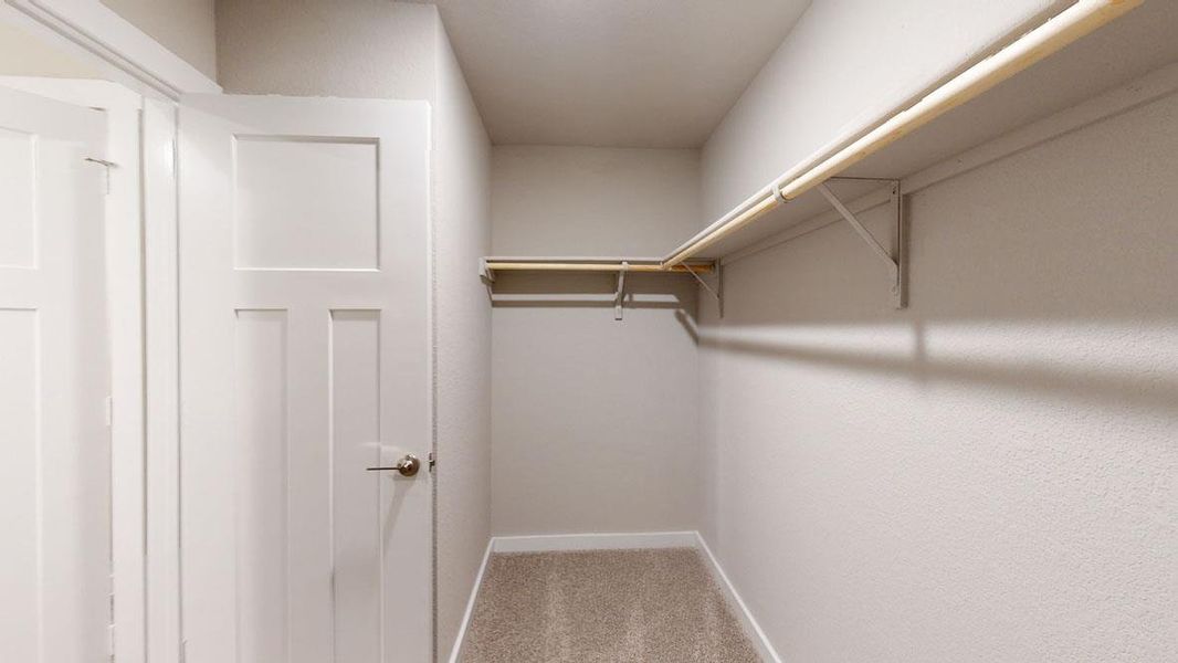 Ample closet space with practical shelving and a soft carpeted floor for comfortable storage. Ample closet space with practical shelving and a soft carpeted floor for comfortable storage.