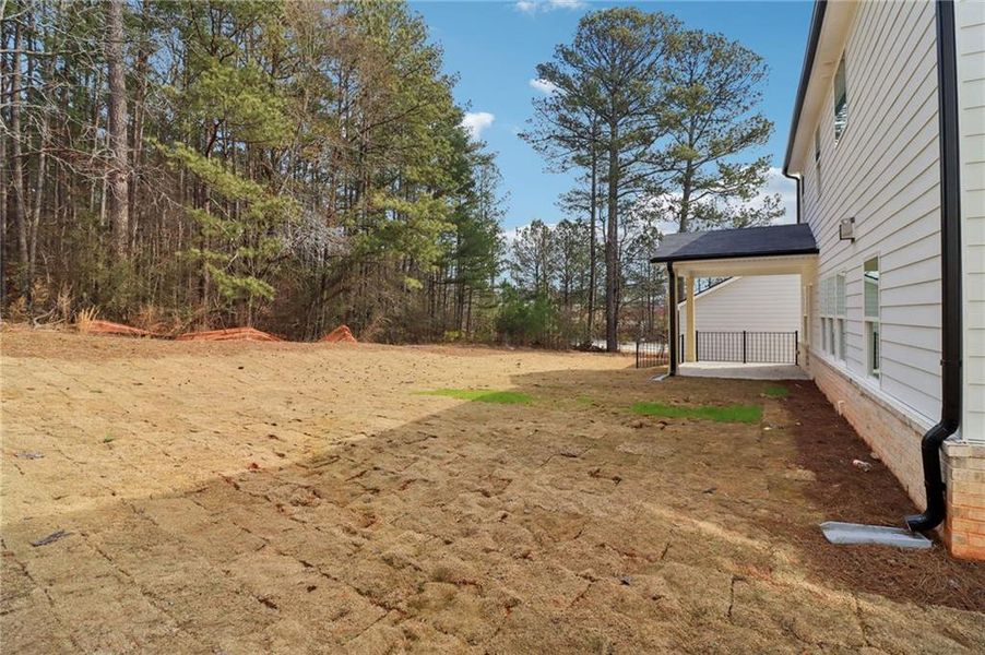 Exterior details and patio area of a home in Harmony Manor, Fairburn (Image 33).