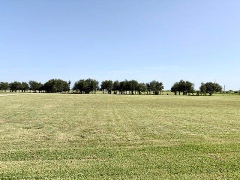 Natural landscape and outdoor views near  in El Campo (Image 41).