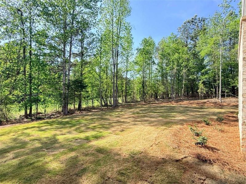 Natural landscape and outdoor views near  in Jefferson (Image 29).