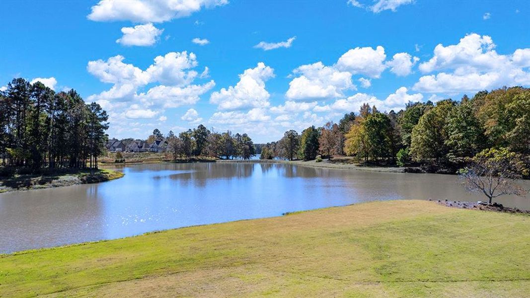 Natural landscape and outdoor views near Twin Lakes in Hoschton (Image 23).