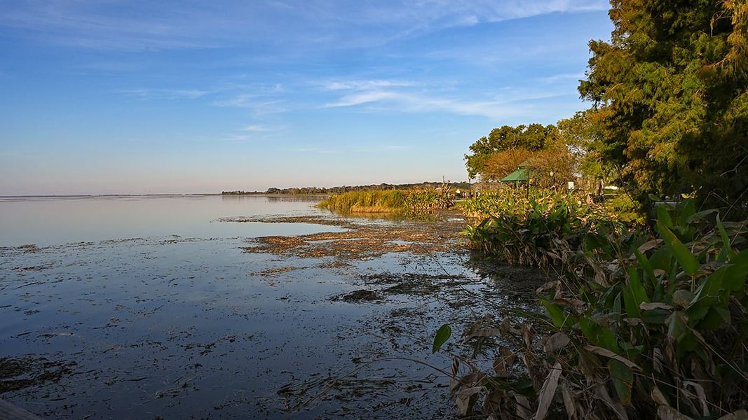 Natural landscape and outdoor views near Esplanade at McKinnon Groves in Winter Garden (Image 35).