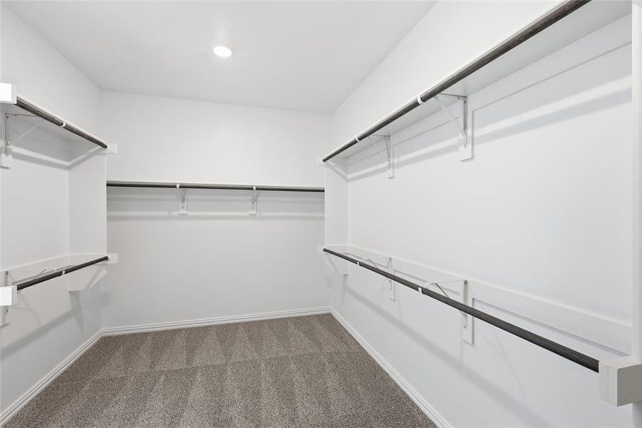 Walk in closet with dark colored carpet