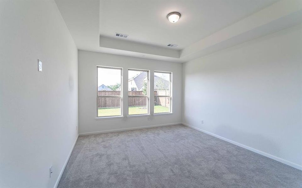 Spacious, unfurnished interior of a new home in La Terra, Celina (Image 14).