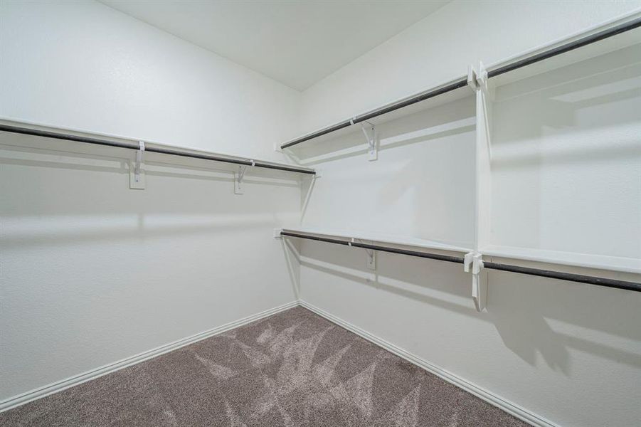 Walk-in closet with carpet flooring, white walls, built-in shelving, and multiple hanging rods
