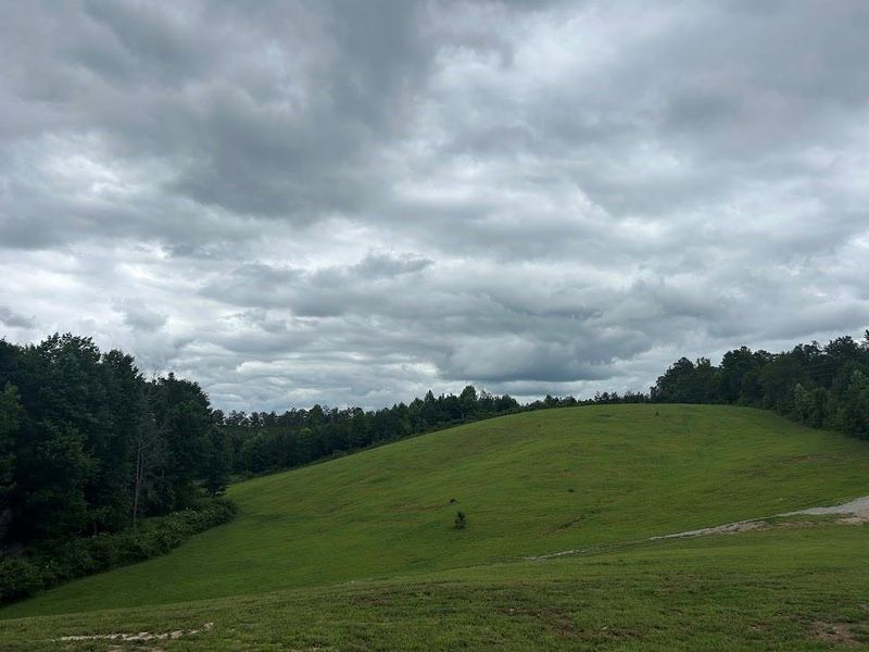 Natural landscape and outdoor views near  in Bowdon (Image 32).