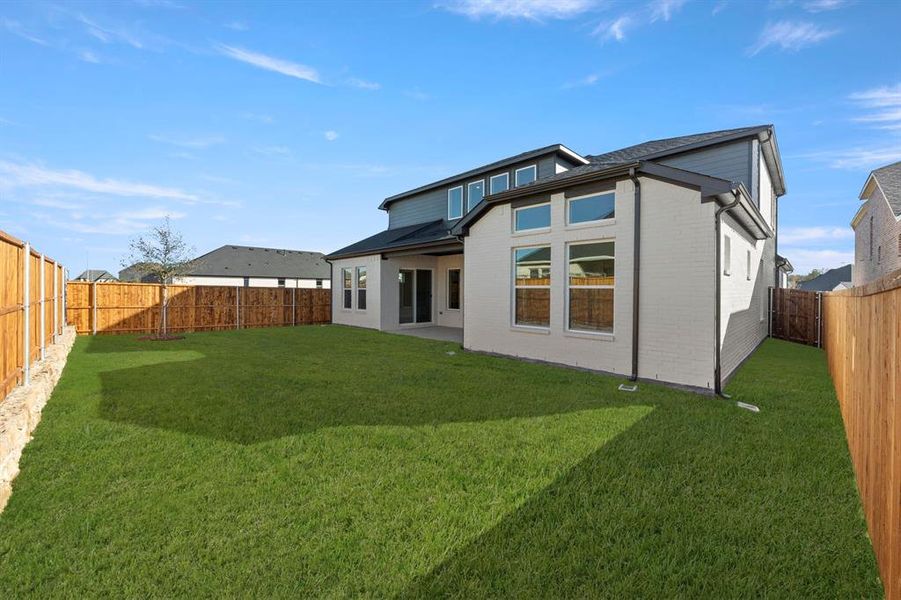 27. 637 Bunchberry - Back (2)