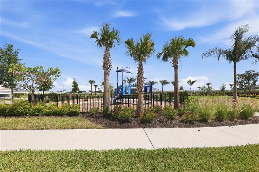 Community amenities in Esplanade at Azario Lakewood Ranch, Bradenton (Image 42).