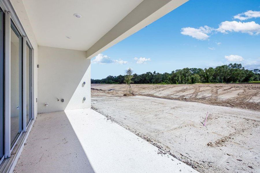 Exterior details and patio area of a home in Firethorn, Parrish (Image 27).