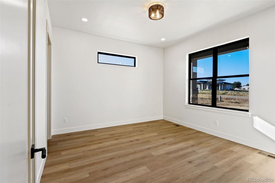 2nd main floor bedroom has walk in closet