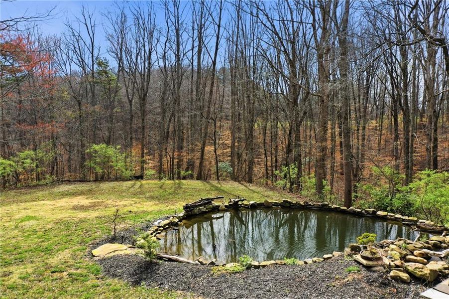Natural landscape and outdoor views near  in Talking Rock (Image 20).