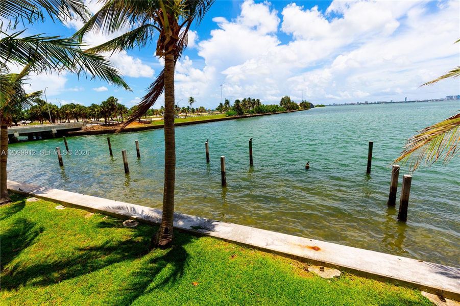 Natural landscape and outdoor views near  in Miami (Image 26).