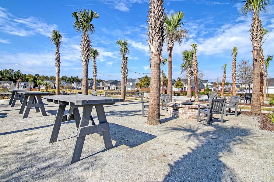 Community amenities in Heron's Walk at Summers Corner, Summerville (Image 59).