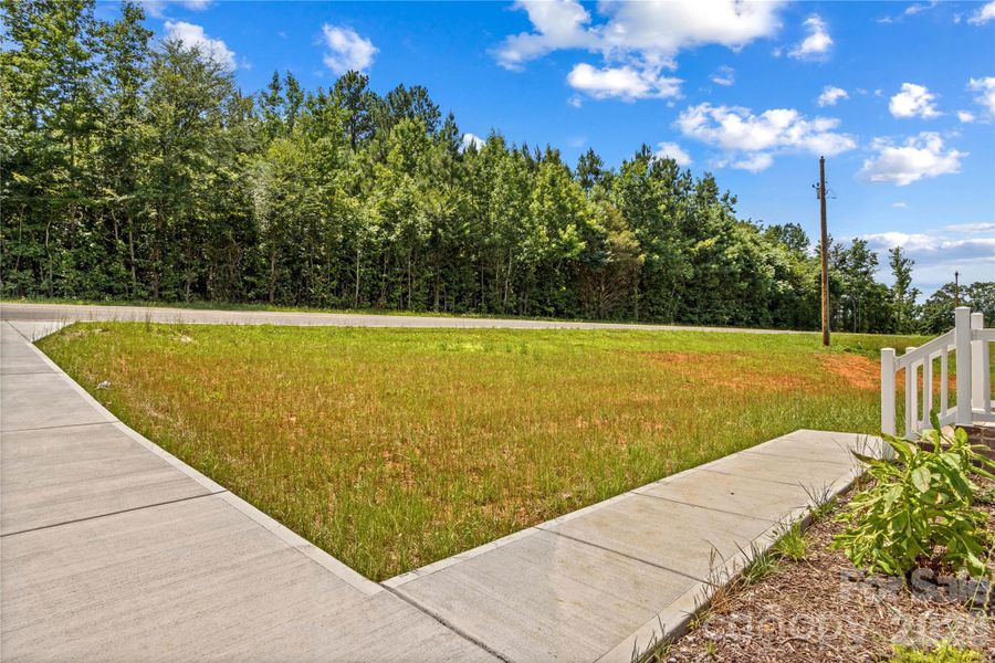 Natural landscape and outdoor views near  in Mocksville (Image 37).