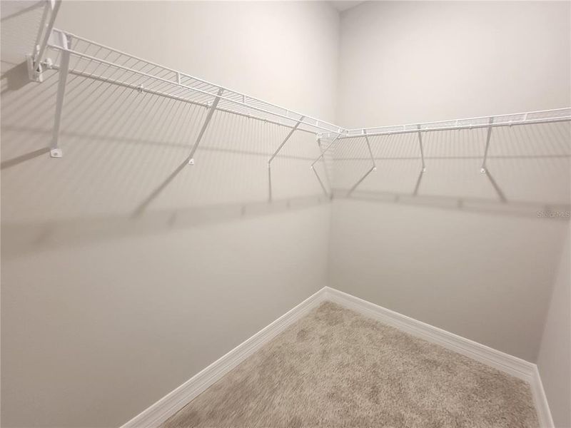 TWO LARGE WALK-IN CLOSETS