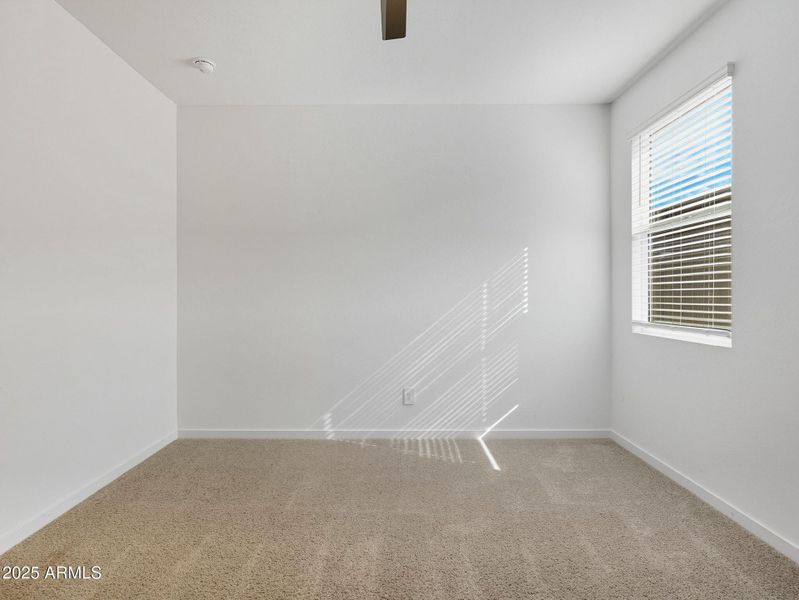 33-web-or-mls-Bee-33 33-web-or-mls-Bee-33