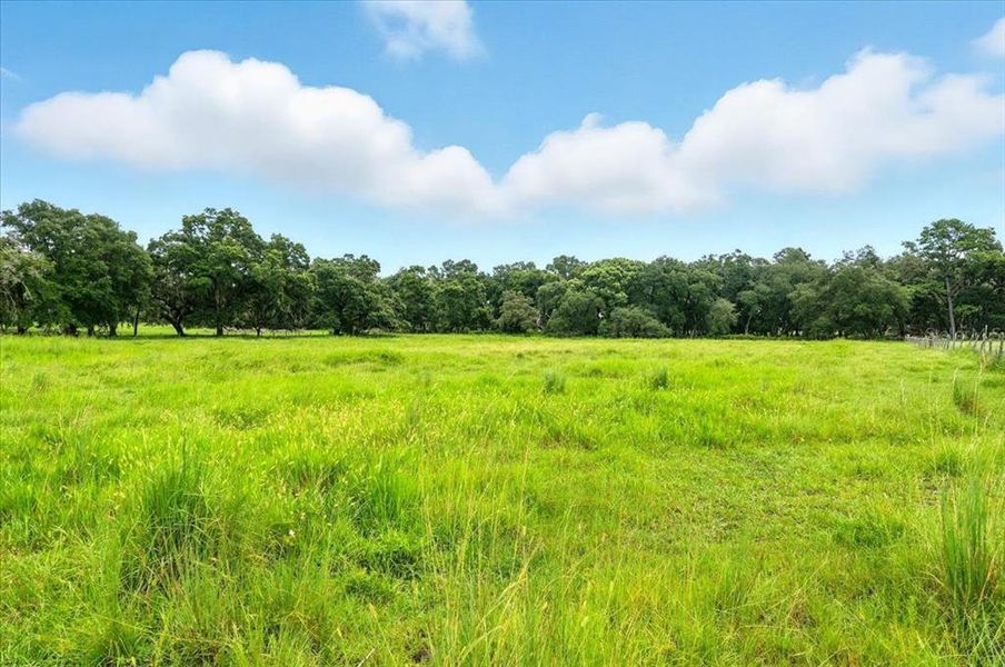 Natural landscape and outdoor views near  in Dade City (Image 9).