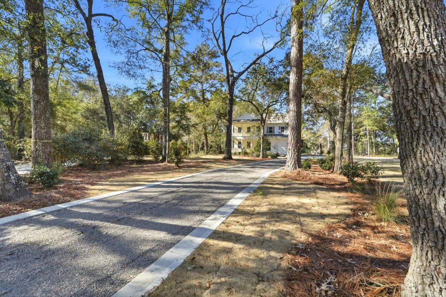 Natural landscape and outdoor views near  in Hollywood (Image 32).