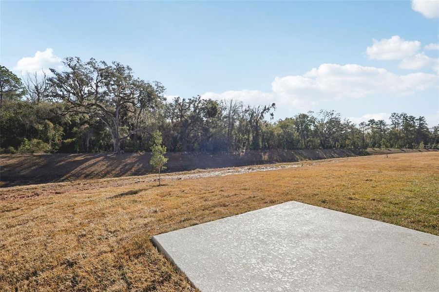 Image 39 of a home in Leyland Preserve - Classic Series.