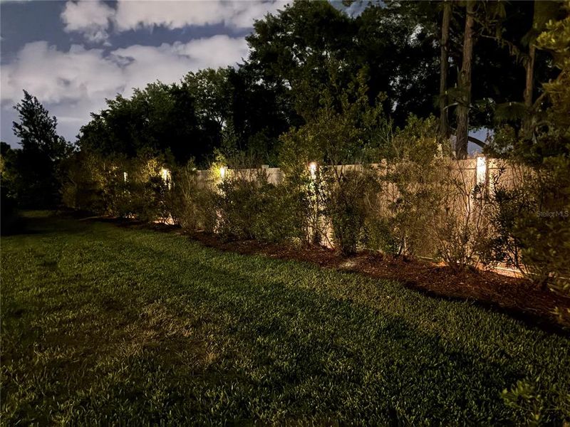 Natural landscape and outdoor views near  in Wesley Chapel (Image 64).